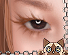 Y. Lashes Ginger