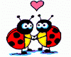 F> Bugs In Love-Animate