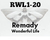 Remady Wonderful Life