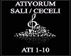 ATIYORUM SALI / CECELI