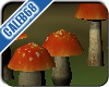 Mushhrooms 02