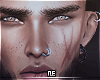 ⚓Collection Brows VI