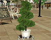 Z| Spiral Tree White