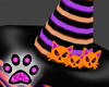 Kitty Witch Hat