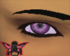 [NFA]purple eyes