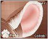 [Pets] Fievel | ears v2