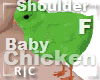 R|C Baby Chick Green F