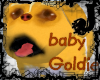 baby Goldie