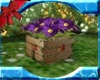 Garden Flower Box 2