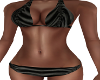 CQ-Elite Black Bikini