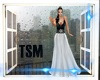 TSM-B&N Dress