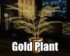 gold plant