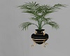 PLANT AND VASE