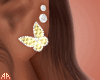$ Butterfly Earrings