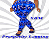 Prosperity Legging-XBM