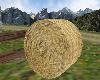 Rolled Hay Bale