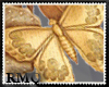 [RMQ]Golden Butterflies