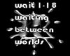 waiting between worlds