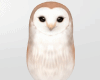 𝐼𝑠.Owl!