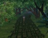 {LS}Foggy walk path