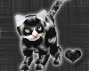 *-*Black&White Cat Pet