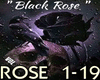 *R Black Rose + Guit