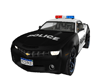 cop car anmi