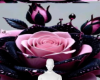 Two toned rose bg