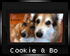 [B] Cookie and Bo pic