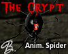 *B* The Crypt Ani Spider