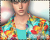Vacation In Rio Bundle M