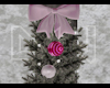 DW. Xmas Deco