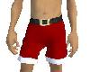 Santa Naughty Shorts - R