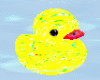 Confetti Rubber Ducky