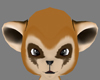 f red panda head