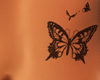 Belly Tattoo
