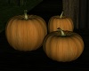 🎃 Fall Pumpkin Group