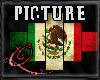 !QQ Mexico Flag Frame
