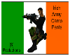 [S] Irish Army Pants