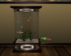 Allura's Fish Dome