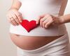 Pregnancy 3-6 months