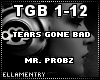 Tears Gone Bad-Mr.Probz