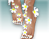 ::Z::Feet White flowers