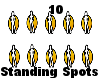 (D)10StandingSpots