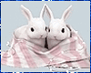 Rabbits & Blanket