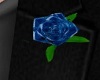 Chest Rose Blue
