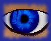 Cobalt blue eyes (m)