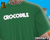 Camisa Lcst