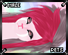 [PETS] Sove | hair v1