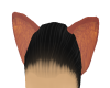 Orange Cat ears [M & F]